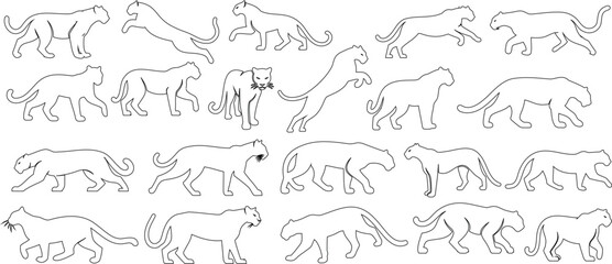 Wall Mural - Panther sketch, line art of black panther, minimalist design, dynamic poses
