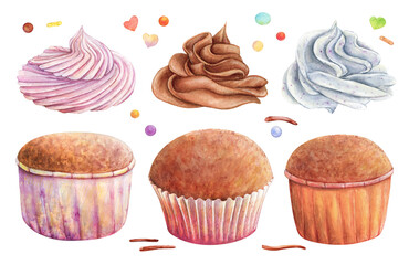 Wall Mural - Cupcake muffin cream watercolor drawing set. Chocolate fruit vanilla in nice paper. Cake candy bakery tasty dessert illustration. Birthday celebration pastry aquarelle picture isolated on white