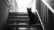 a black cat sits on metal steps, on the outdoors