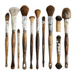 A collection of artists jaunt brushes on a transparent background 