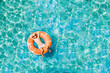 © Cavan Images - Boy has fun on family vacation rest in pool with donut ring