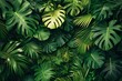 Tropical leaves background,  Top view of green leaves background