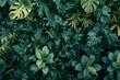 Top view of green tropical leaves background,  Nature and environment concept