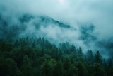 Mountain landscape with fog and coniferous forest in the morning