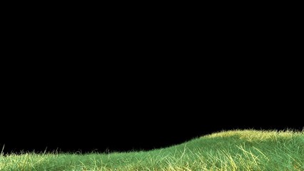 Wall Mural - grass wind noise loop on alpha channel. element footage place on footage or background and easier to