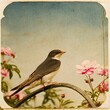 Vintage swallow birds postcard