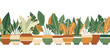 Vector seamless horizontal border with home flowers in pots isolated from background. Gardening frieze of plants for frames and brushes.