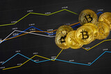 Fototapeta Sawanna - Gold bitcoin on financial charts for cryptocurrency prices