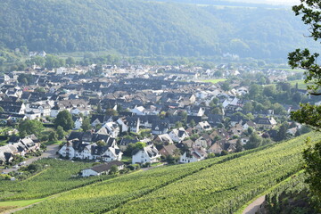 Wall Mural - Winningen in Mosel valley