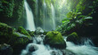A cascading waterfall flowing over moss-covered rocks in a dense rainforest.