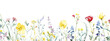 Dainty wildflowers border, watercolor, isolated on transparent background