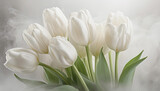 Fototapeta Tulipany - Białe tulipany. Wiosenny biały kwiat. Pastelowe tło kwiatowe