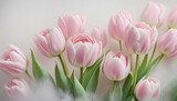 Fototapeta Tulipany - Różowe tulipany. Wiosna, pastelowe kwiaty