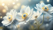 Wiosenne białe kwiaty. Tapeta zawilce