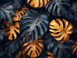 Green and golden Monstera leaves
