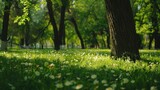 Fototapeta Las - Spring Nature. Beautiful Landscape. Park with Green Grass and Trees. Tranquil Background