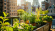 An urban garden thriving on a rooftop demonstrating urban adaptation to climate change.