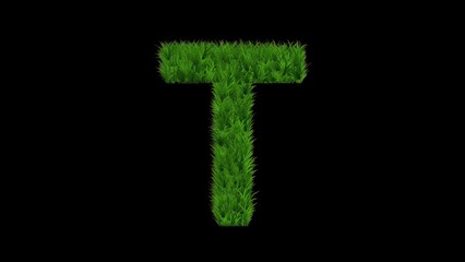 Canvas Print - Beautiful illustration of English alphabet T with green grass on plain black background