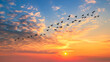 A flock of migratory birds flying in a V formation across a sunset sky symbolizing harmony and journey.