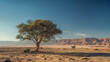 A lone towering tree standing resiliently in a vast arid desert under a scorching sun.