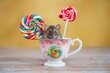 mouse inside a teacup with lollipop handle peeking out