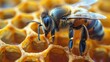   A tight shot of a bee atop a honeycomb, with another bee in the background, mid-frame