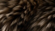 Attractive formation of wolf wool in close-up, accentuating detailed patterns and the softness of the fur.
