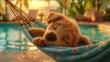 A playful cartoon dog sleeping in a hammock, tropical paradise, sunset hues, peaceful slumber