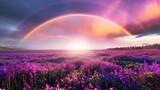 Fototapeta  - A breathtaking view of a double rainbow over a field of purple wildflowers during a vivid sunset.