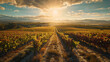 A sprawling sun-drenched vineyard at the peak of harvest showcasing the bounty and beauty of the land.