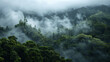 Enigmatic Mist Blanketing Dense Forest
