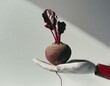 A single, earthy beetroot balanced on the flat surface of a robotic hand, its rich, deep red color juxtaposed with the cold, impersonal metal.