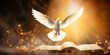 White dove fling over evening sky symbal of holy,The Bible Stimulates Reflection 