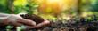 A hand holding soil with a young plant, against a sunlit bokeh background, representing growth or ecology. Generative AI