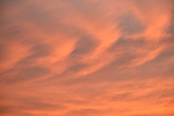 Wall Mural - cloud spreading on twilight sunset sky in evening