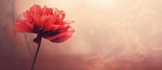 Poster - A close up of a vibrant magenta flower with soft pink petals against a blurred background of the sky and clouds, creating a beautiful piece of art in nature