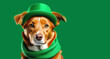Portrait of a red dog in a bright green hat and scarf on a green background. Celebrating St. Patrick's Day.