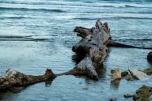 Weathered Wooden Log Lies Abandoned On A Sandy Beach