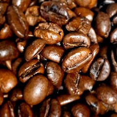 coffee beans background