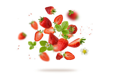 Wall Mural - Fresh sweet strawberry berries with flower and leaves flying falling isolated on white background.