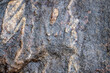 Old, rough, wet stone wall surface background or texture. 