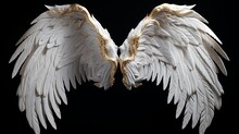 Angel Wings Isolated On The Black Background Fantasy Feather Wings For Fashion Design Cosplay And Dr