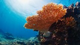 Fototapeta  - Healthy coral reef underwater in Komodo National Park in Indonesia