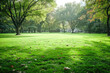 © Zatiago - empty green park grass, Generative Ai