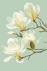 Sticker - Magnolia vector illustration, white and light yellow 