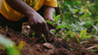A person participating in a tree planting initiative to combat deforestation and climate change