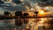 Graceful Guardians: Elephants Drinking at Twilight