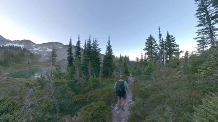 Poster - Man Hikes Along Saint Andrews Lake on Wonderland Trail in Mount Rainier