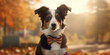 Elegant Canine Elegance: A Dapper Dog in Autumn Splendor Banner