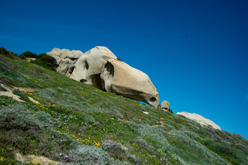 Wall Mural - Oddly shaped granite rocks on Capo Testa, the near the sea along the coast, Santa Teresa di Gallura, Olbia-Tempio, Italy